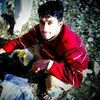 inayat.rahman287