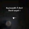 akeeshasheshan1