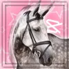 bella_ponyplayz