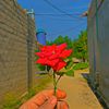 anaskhan457347