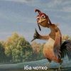tomredle0