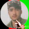 user888175220