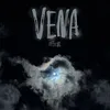 vena_official_