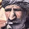 seyyitaras7233