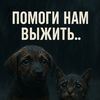 pomosh_prutylok