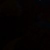 yam_gscv03