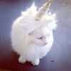 sparklyyunicorn67
