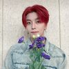 starlightscoups