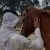 alshamre23