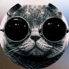 pav_fx