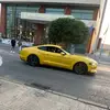 arsenal_fan077
