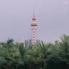 tiktok943896