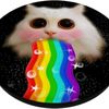 randomcat517