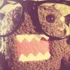 challygaill_266
