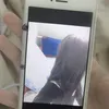 su1_cid3
