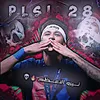plsi_28
