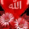 najat.mouarraf
