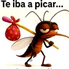 antonio.trigo46