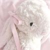 kiti_012616