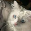 khadija_aje1
