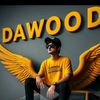 raja.dawood285