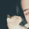 urlovehony