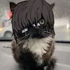zxcuebok