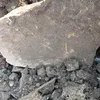 paulinhogpcalcete