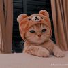 __ariana80