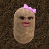 iitakunyee6