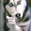 ifuckingloveomninan