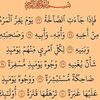 user81740942224480