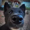 avinhdeptrai1