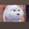 user1832607621613