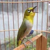 cng.minh.cvk