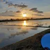 ng.trang_97