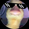 user4910397803917