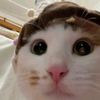 jaramtuz8u1