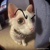 dngphmtin67