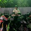 damien_karunarathne