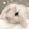 __aleas