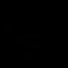 oranganeh_003