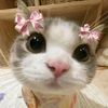 .kimberly8109