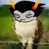 hairballcougher