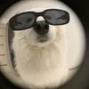 pdmanh11