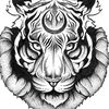 tiger.atjh