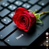 heera5205