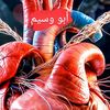 hemeed151