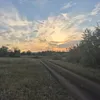 dgon_64
