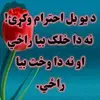 user33240901510662